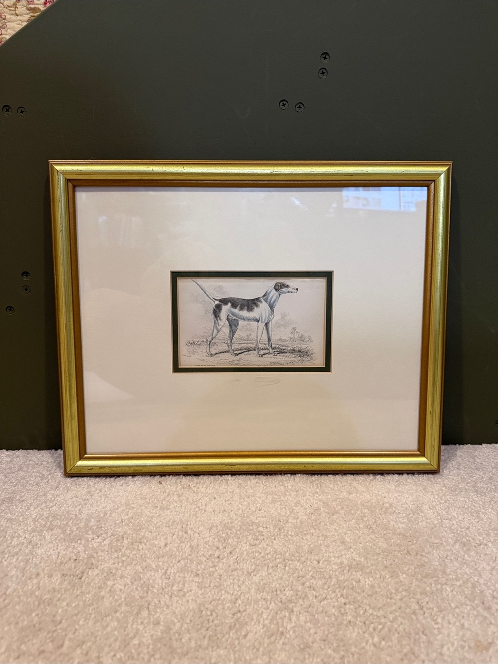 Gold Framed Antique Dog Illustration Wall Art